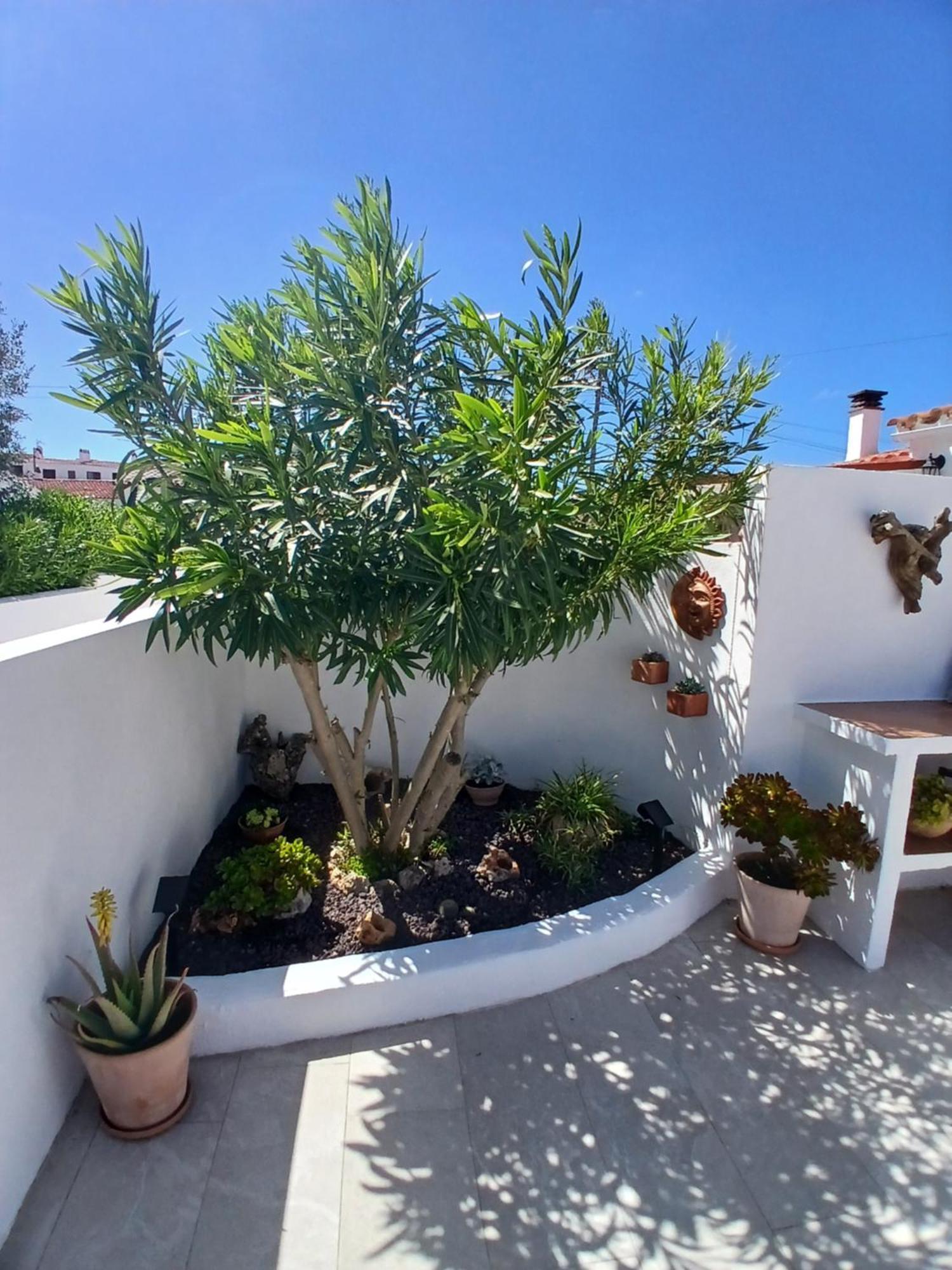 Tramontana Villa Cala En Porter  Ngoại thất bức ảnh